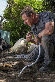 Muzzle: City of Wolves