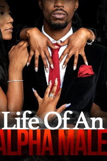 Life of an Alpha Male