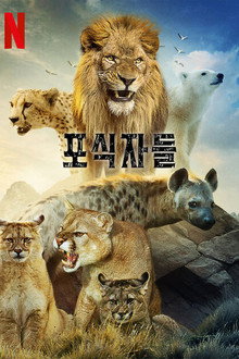 시즌 1