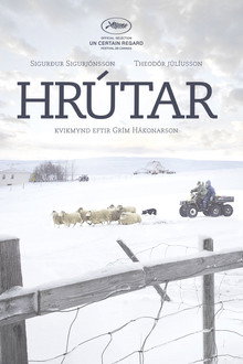 Бараны
