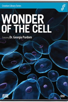 Wonder of the Cell