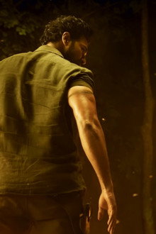 హైనదవ
