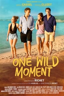 One Wild Moment movie poster
