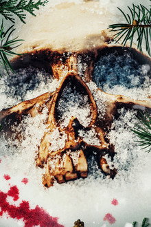 The Killing Tree