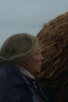 A Bear Remembers