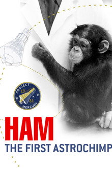 Ham, un chimpanzé dans l'espace