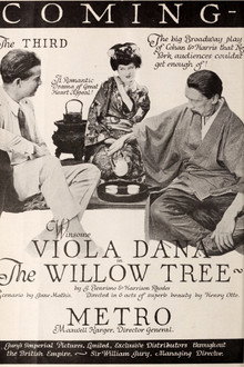 The Willow Tree