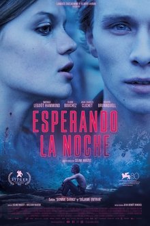 Esperando la noche | Trailer oficial | español 2024 |
