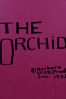 The Orchid