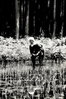 The Japanese Part 3: Farm Song