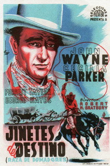 Jinetes del destino