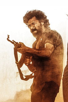 டிசி