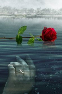 A Rose for Her Grave: The Randy Roth Story