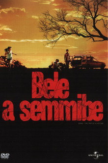 Bele a semmibe
