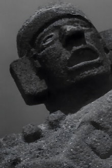 Raíces