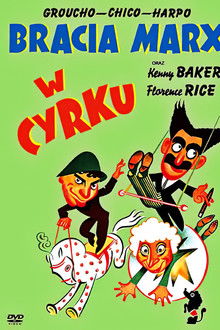 Bracia Marx w cyrku