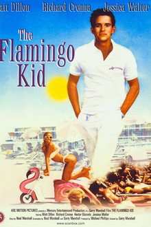 The Flamingo Kid