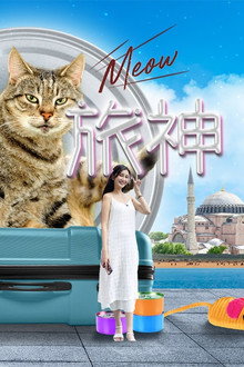 猫之旅神