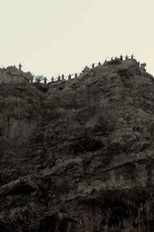 درباره ی ۱۱۱ دختر