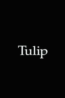 Poster do filme Tulip