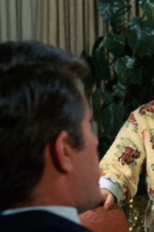 The Courtship of Eddie's Father - Season 1