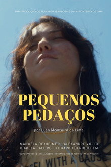 Pequenos Pedaços