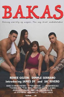 Bakas