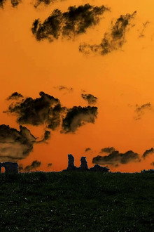 Other Land