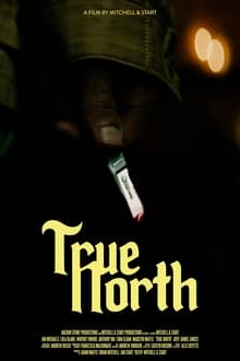 Poster do filme True North