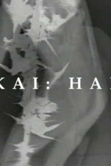 HAIKAI: HAIGAY