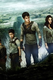 The Maze Runner