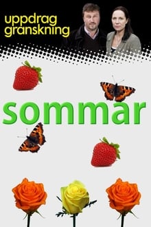 Uppdrag granskning sommar