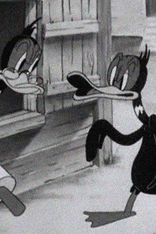 Wise Quacks