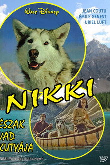 Nikki, észak vad kutyája