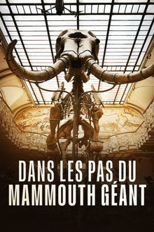 Dans les pas du mammouth géant