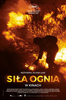 Siła ognia