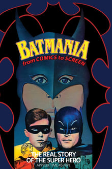 Poster do filme Batmania: From Comics to Screen