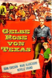 Gelbe Rose von Texas