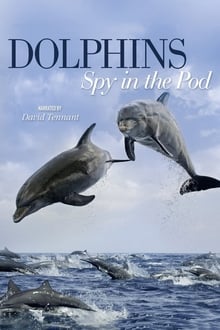 Poster da série Dolphins: Spy in the Pod