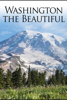 Washington the Beautiful