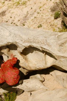 Todos tienen algo Desierto