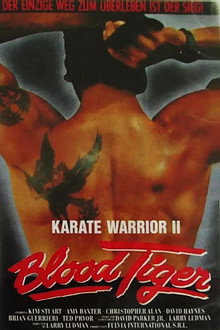 Karate Warrior 2