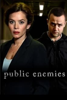 Public Enemies tv show poster