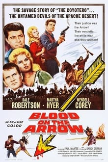 Poster do filme Blood on the Arrow