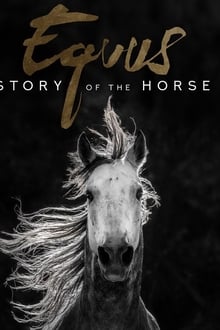 Equus, une histoire de chevaux et d’hommes S01