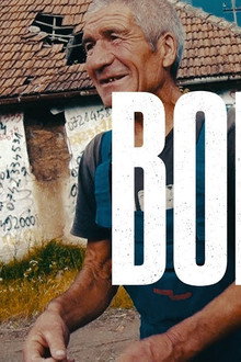 Bodrog