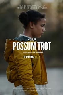 Poster do filme Possum Trot