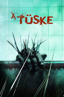 A tüske