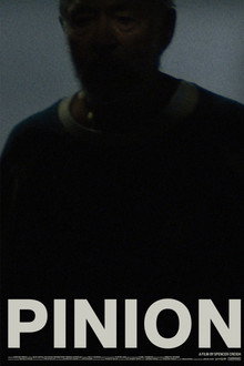 Pinion
