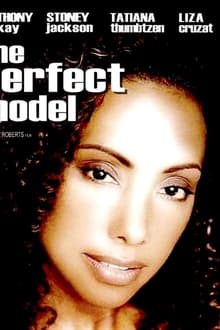 Poster do filme The Perfect Model